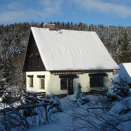 Erzgebirgsdomizil Am Schwartenberg Neuhausen  Eksteriør bilde