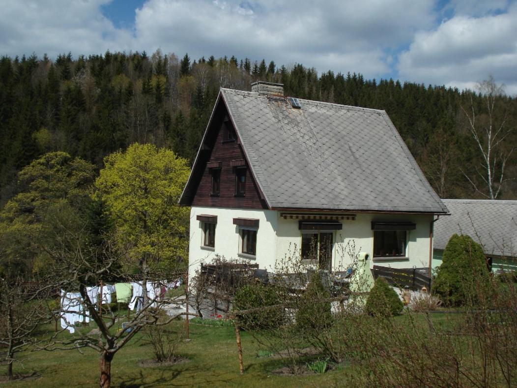 Erzgebirgsdomizil Am Schwartenberg Neuhausen  Eksteriør bilde