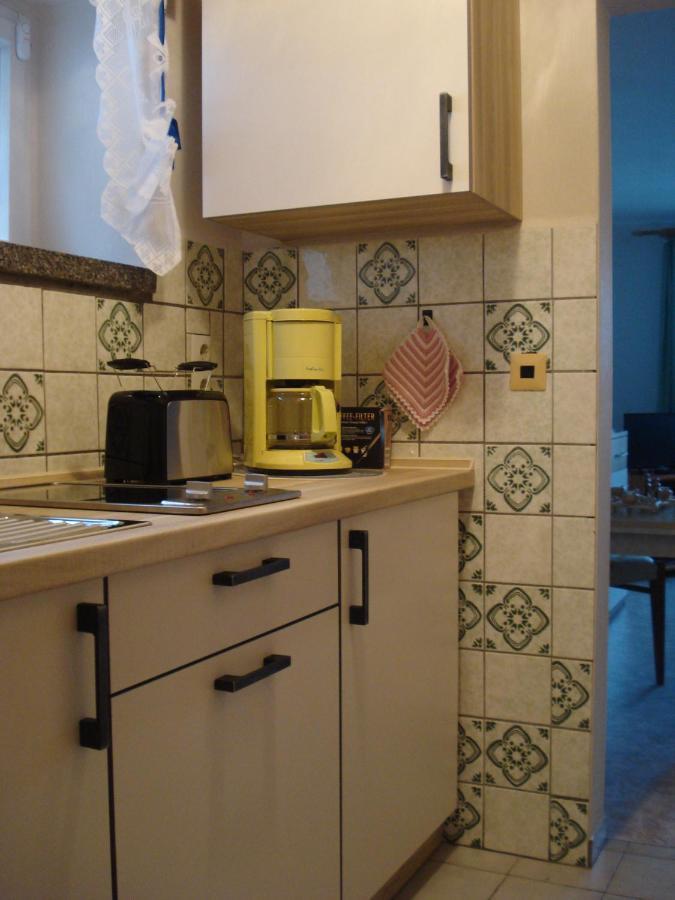 Erzgebirgsdomizil Am Schwartenberg Neuhausen  Eksteriør bilde